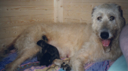 sind die nicht schnuckelig?