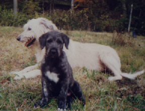 Ich werde mal gro&szlig; und stark !!