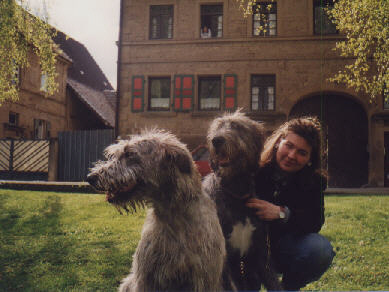 Bin ich nicht gro&szlig; und stark geworden 